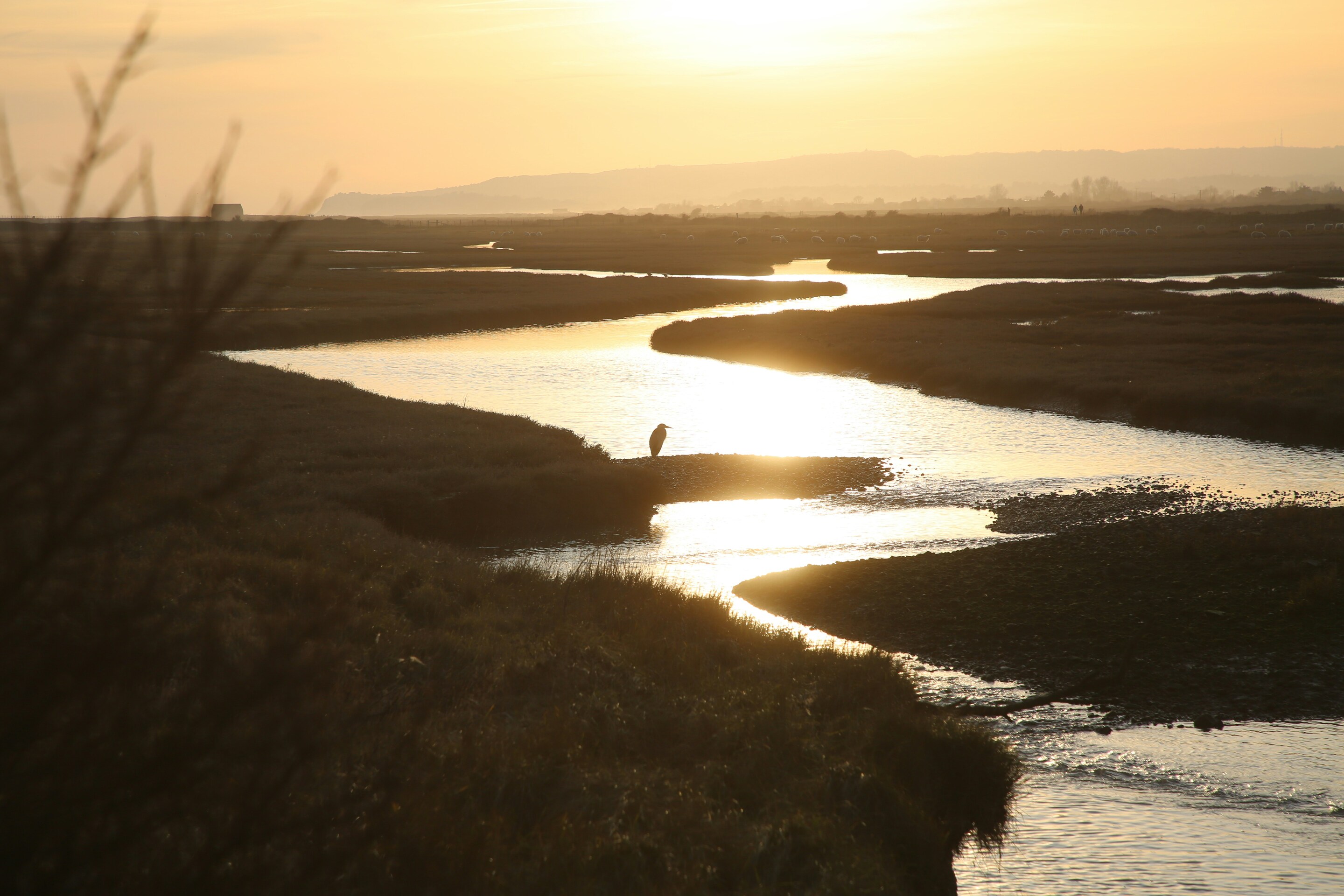 River flowing at sunset with a Heron